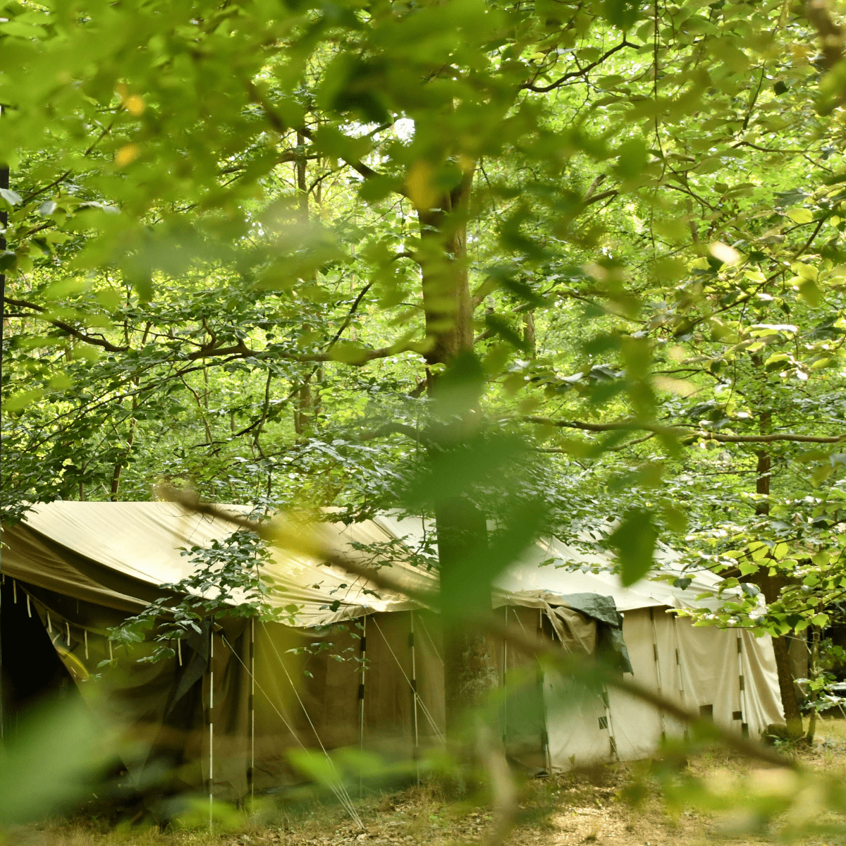 Namiot grupowy pyrcamp